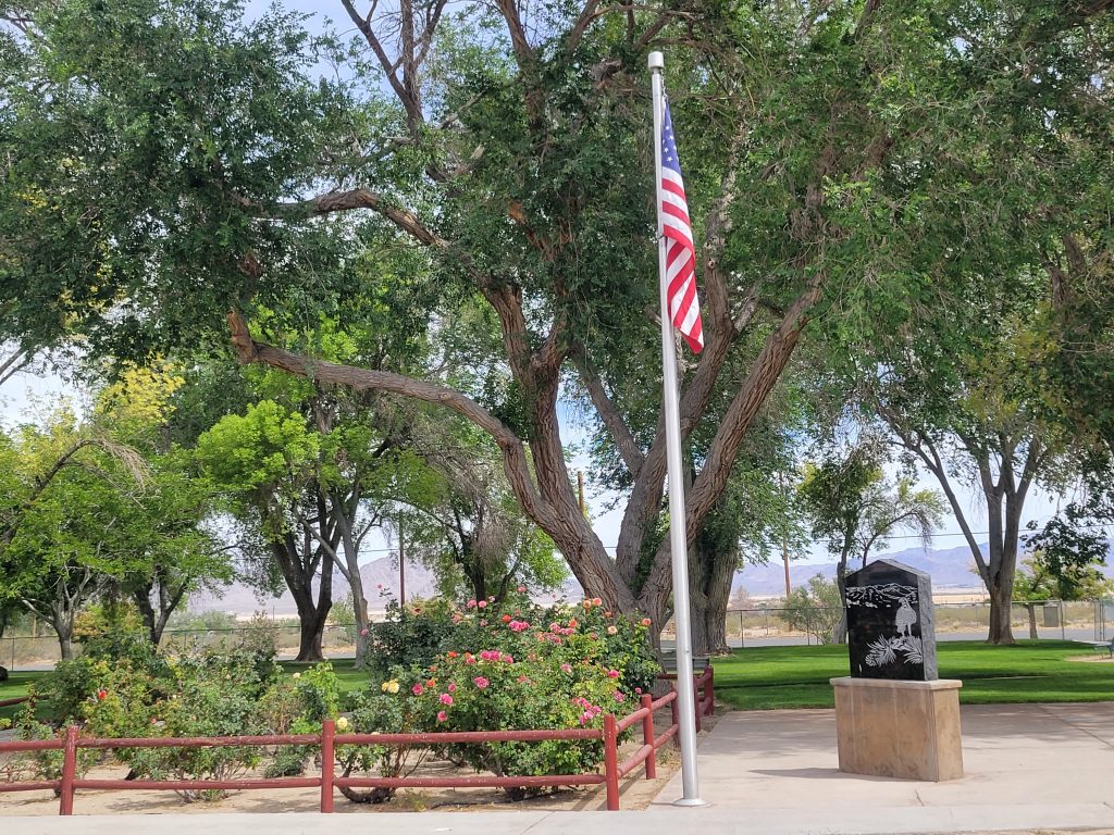 Picture of Flag and Tree at Pioneer Park in CSA 29 Lucerne Valley