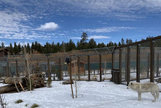 New Big Bear Alpine Zoo – an $18 million project – could open in 2020 – San  Bernardino Sun